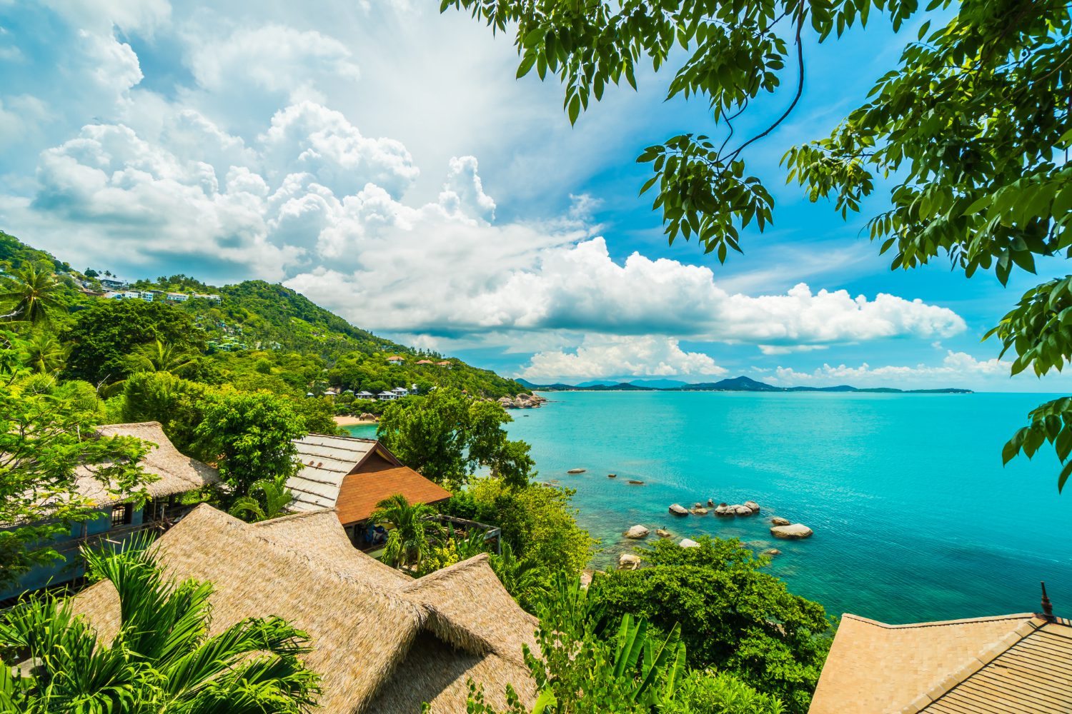 Photo news Digital business license in Antigua
